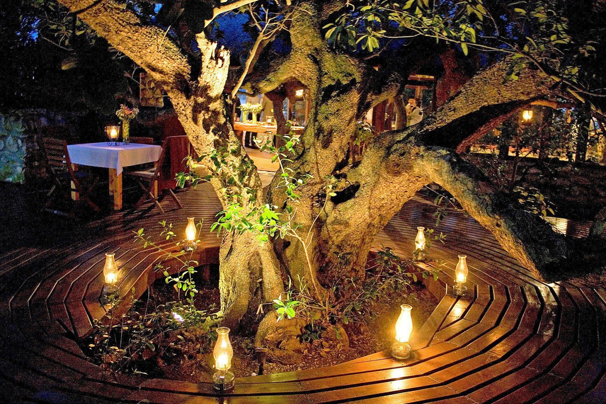 Mosaic Lagoon Lodge ستانفورد المظهر الخارجي الصورة
